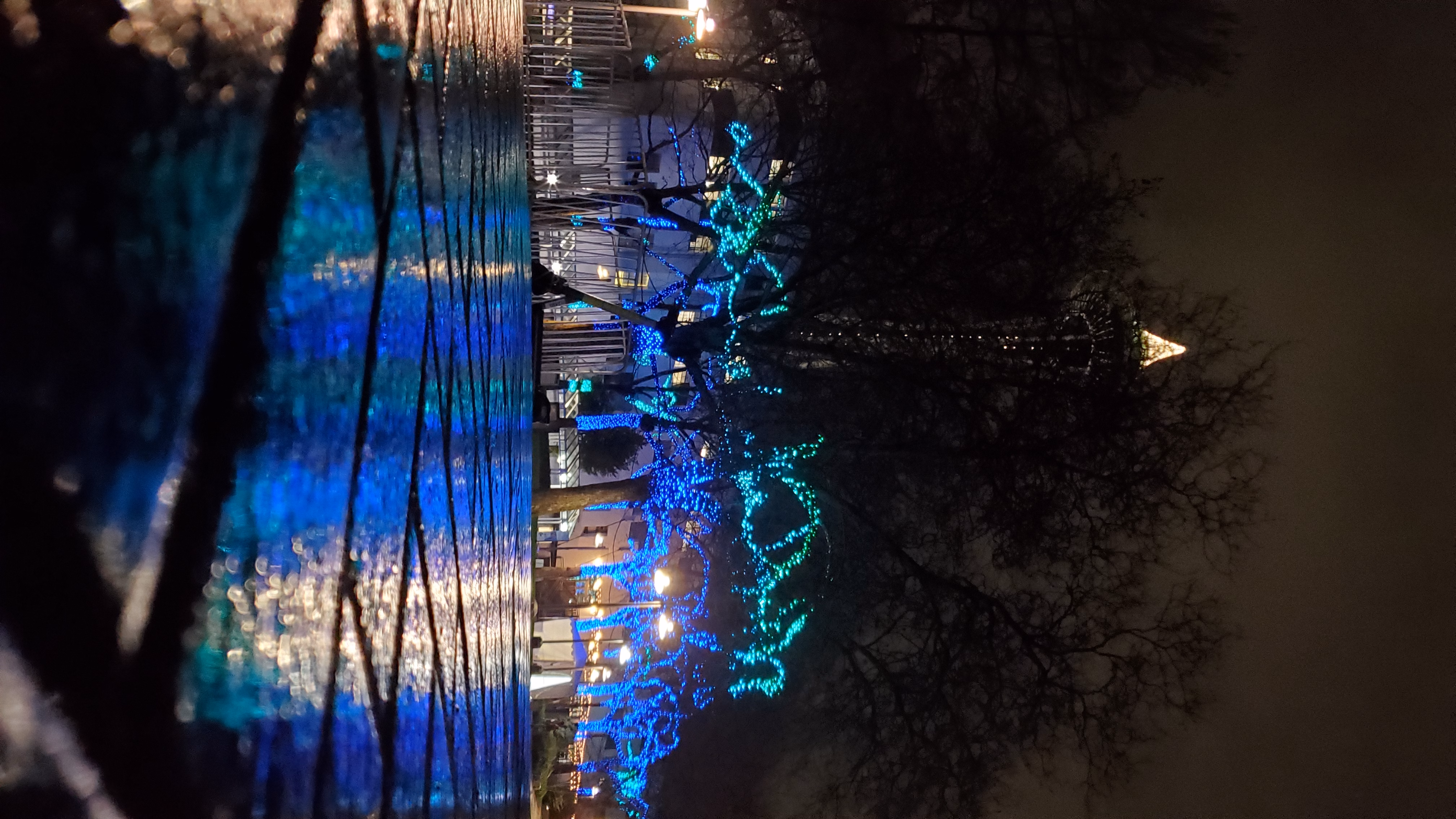 seattleimages