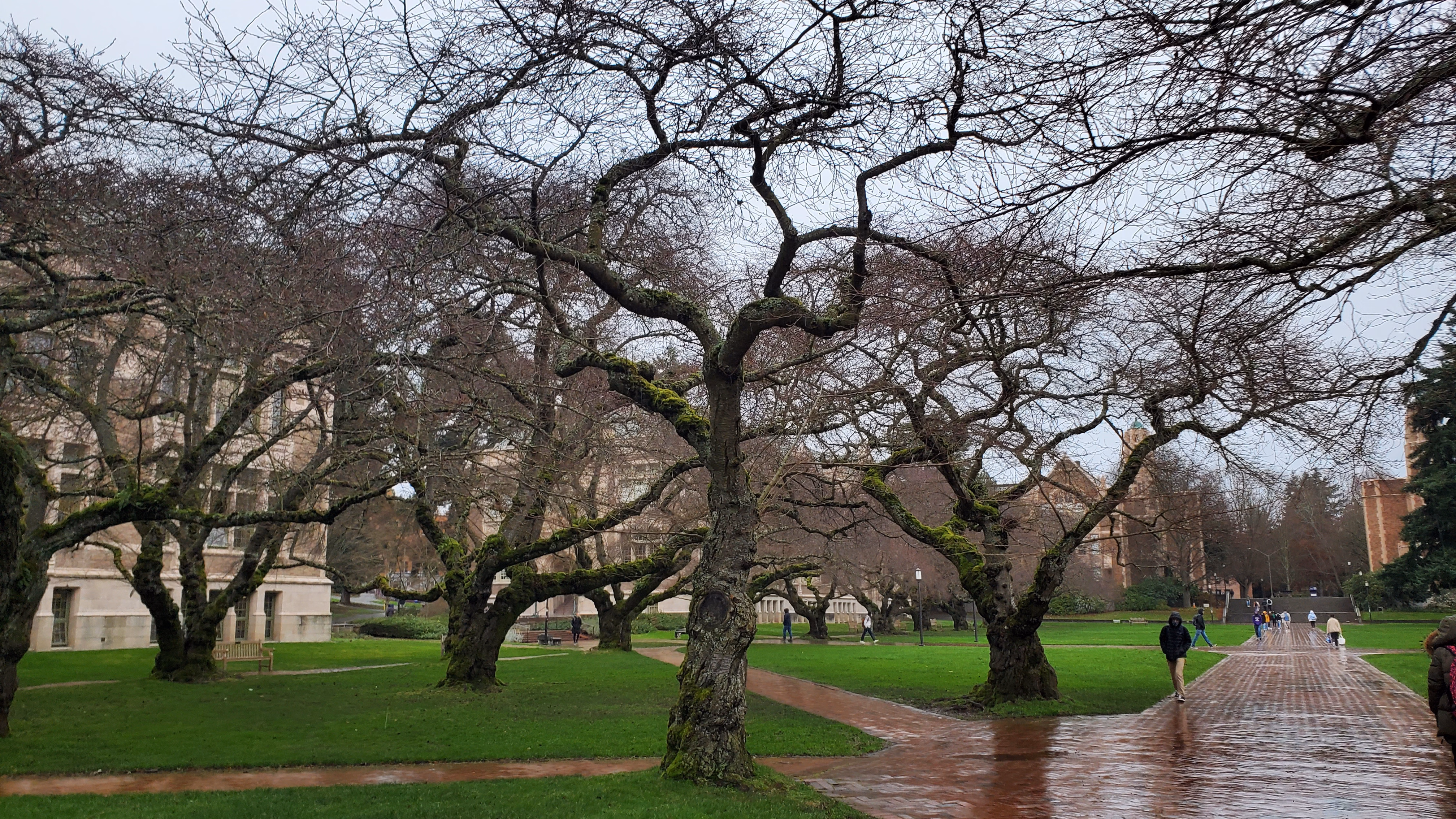 seattleimages