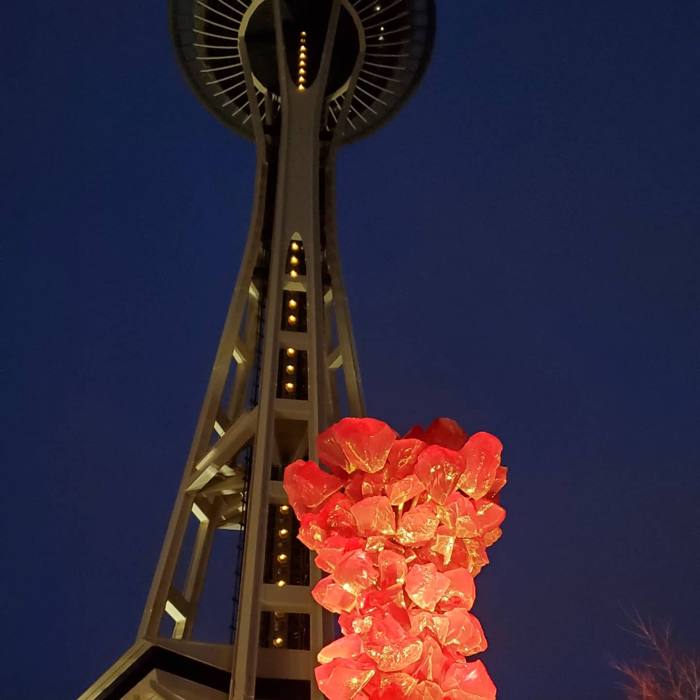 seattleimages